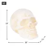 Cast Iron Human Skull Paperweight - Unique Desk Decor and Office Gift