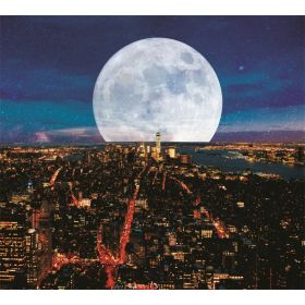 TAP -- Wall Covering Fabric (Option: TAP066-150x170cm)